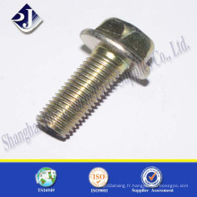 Acier inoxydable A2 A4 M12 Hexagonl Flange Bolt